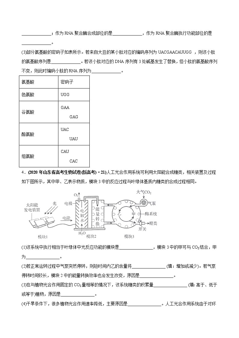高中生物专题04 光合作用-2020年高考真题和模拟题生物分项汇编（学生版）第2页