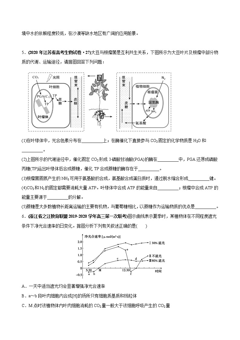 高中生物专题04 光合作用-2020年高考真题和模拟题生物分项汇编（学生版）第3页
