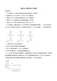 高中生物专题04 遗传的分子基础-十年（2011-2020）高考真题生物分项详解（无答案）