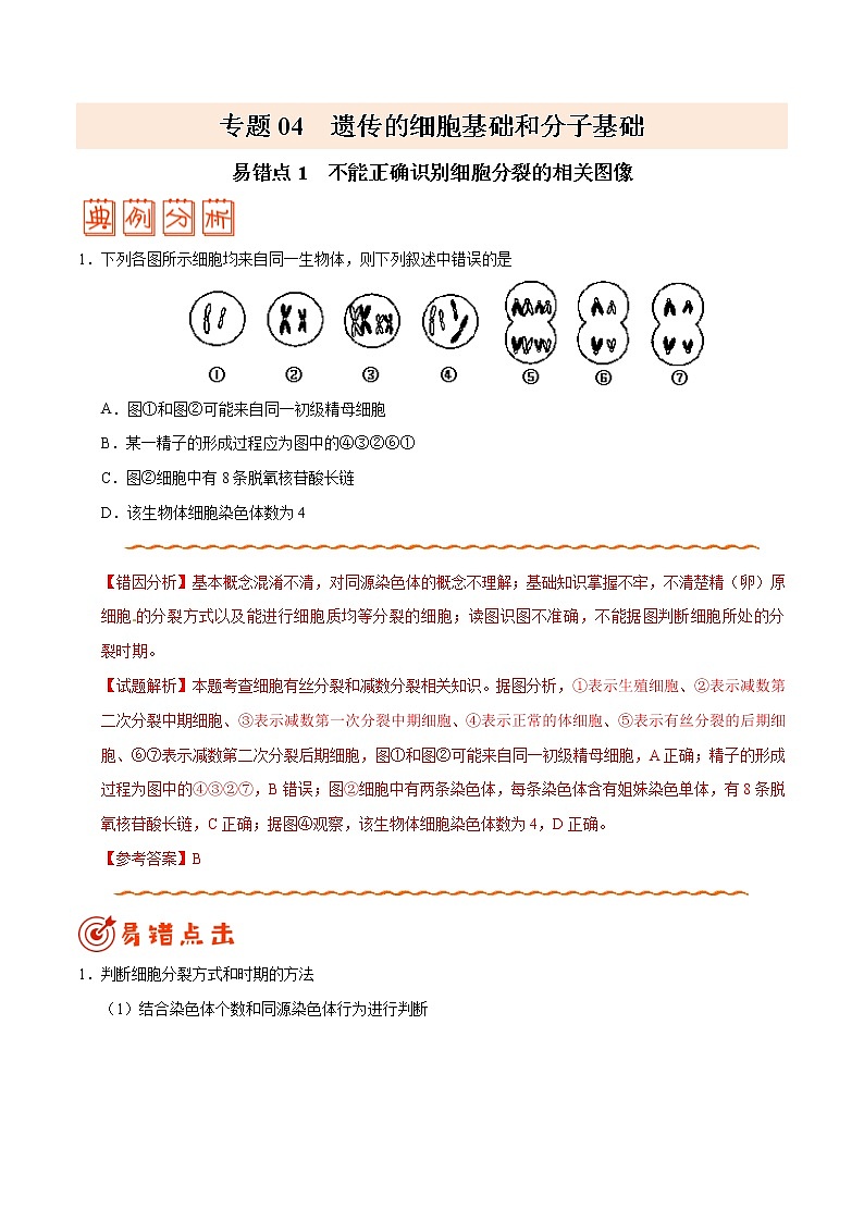 高中生物专题04 遗传的细胞基础和分子基础-备战2019年高考生物之纠错笔记系列（无答案）第1页