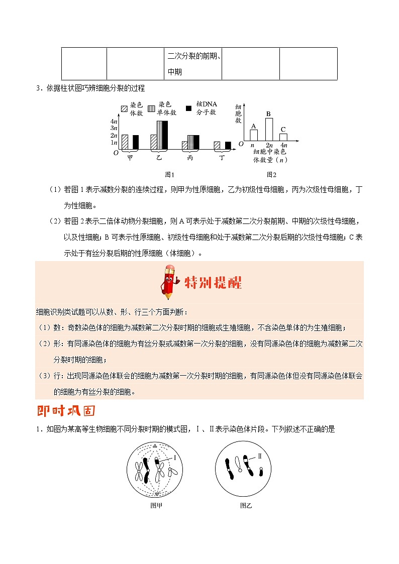 高中生物专题04 遗传的细胞基础和分子基础-备战2019年高考生物之纠错笔记系列（无答案）第3页