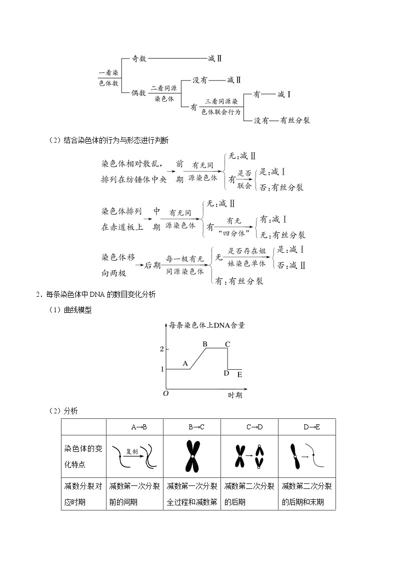 高中生物专题04 遗传的细胞基础和分子基础-备战2019年高考生物之纠错笔记系列（有答案）02