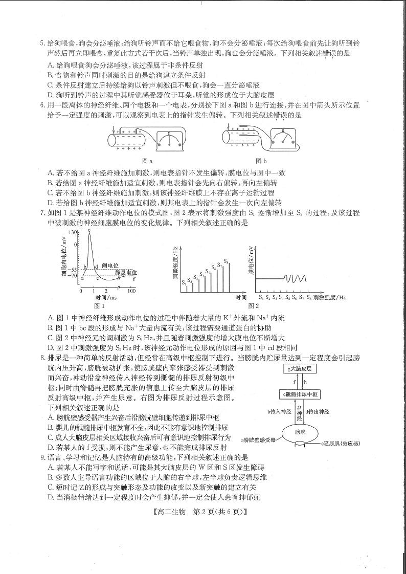 2022-2023学年河南省部分名校高二上学期11月联考试题 生物 PDF版02
