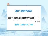 1.1 孟德尔的豌豆杂交实验（一）-高中生物 课件+练习（人教版2019 必修2）