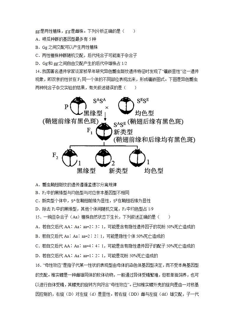 1.1 孟德尔的豌豆杂交实验（一）-高中生物 课件+练习（人教版2019 必修2）03