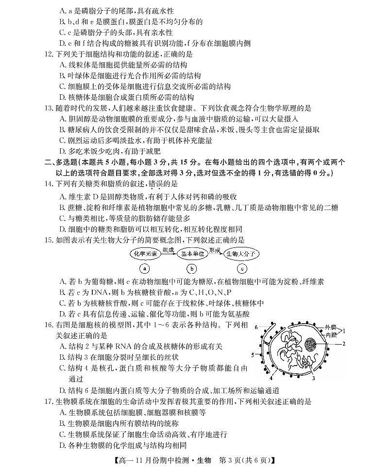 2022-2023学年山西省高中教育发展联盟高一上学期11月期中检测生物PDF版第3页