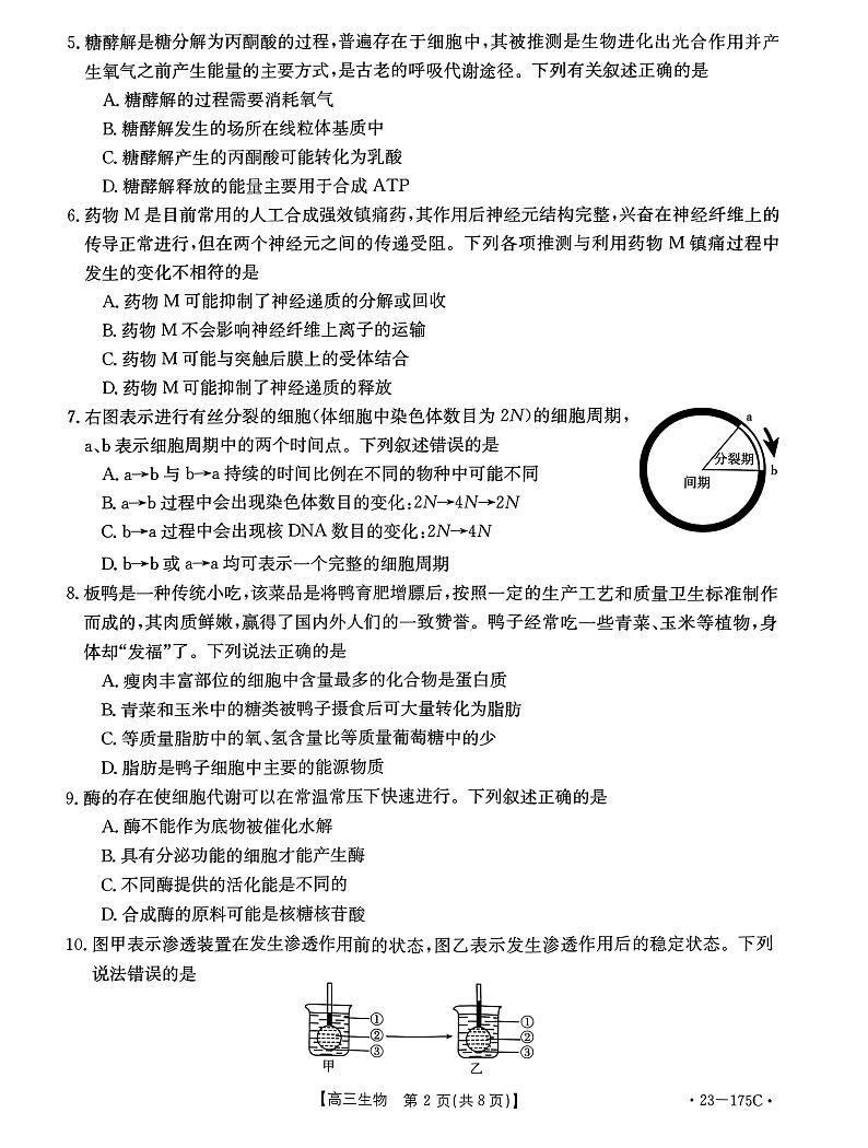2022-2023学年河南省创新发展联盟高三上学期11月阶段检测生物试题 PDF版02
