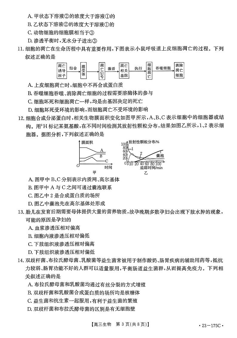 2022-2023学年河南省创新发展联盟高三上学期11月阶段检测生物试题 PDF版03