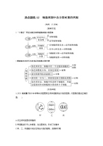 高中生物热点微练12　二轮专题细胞周期中各分裂时期的判断