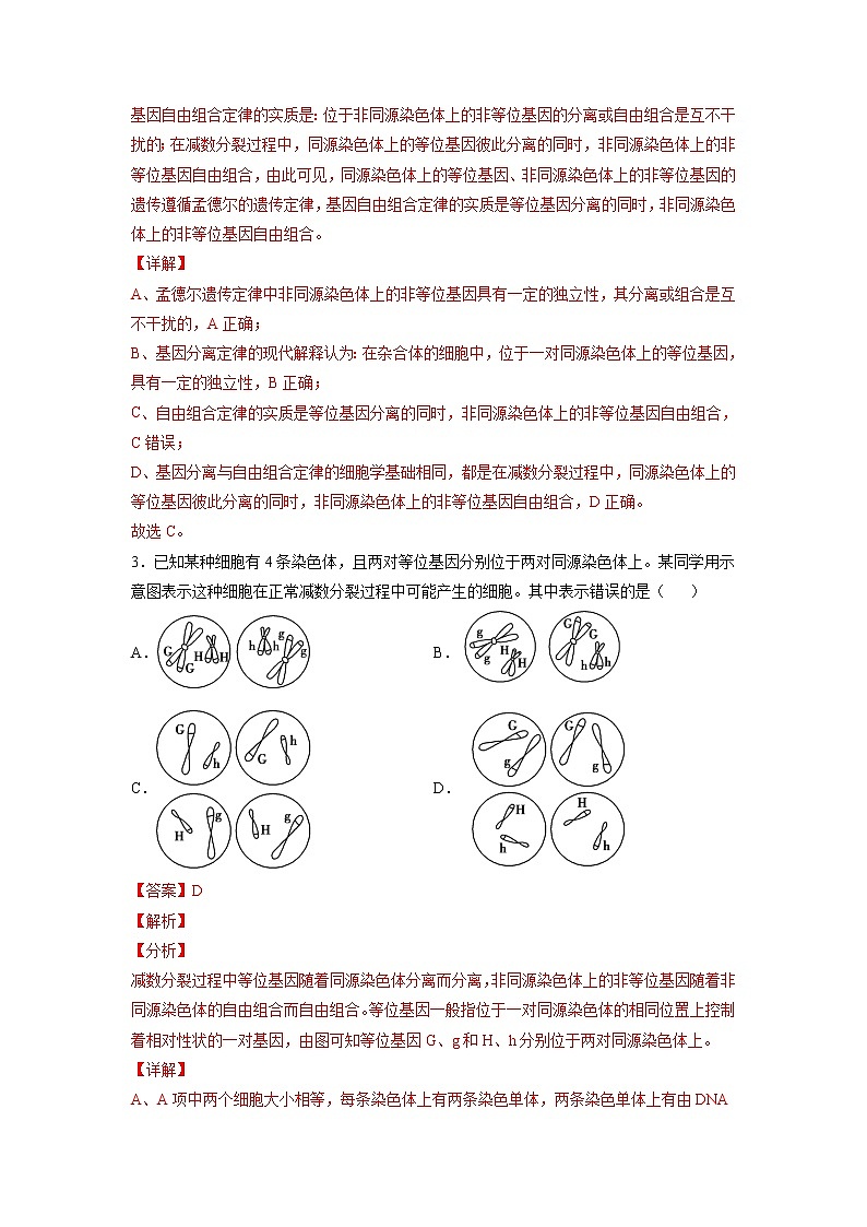 2.2 基因在染色体上（练习）（含答案解析）第2页