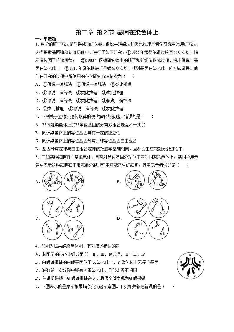 2.2 基因在染色体上（练习）第1页
