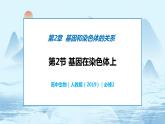 2.2 基因在染色体上-高中生物 课件+练习（人教版2019 必修2）
