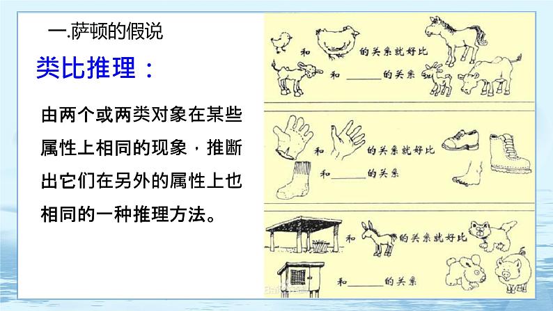 2.2 基因在染色体上-高中生物 课件+练习（人教版2019 必修2）03