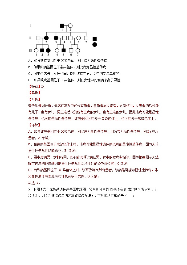 2.3 伴性遗传（练习）（含答案解析）第3页