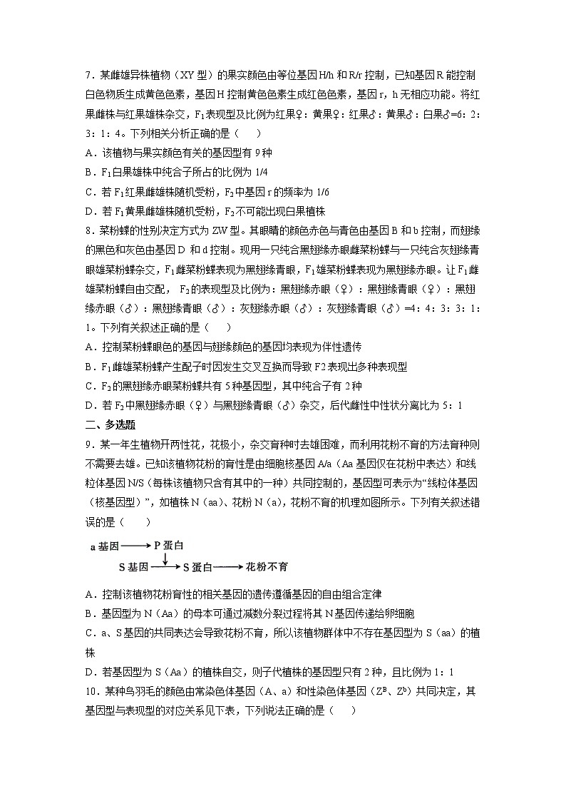 2.3 伴性遗传（练习）第3页