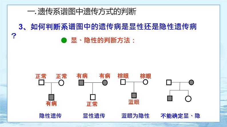 2.3 伴性遗传（第2课时）第5页