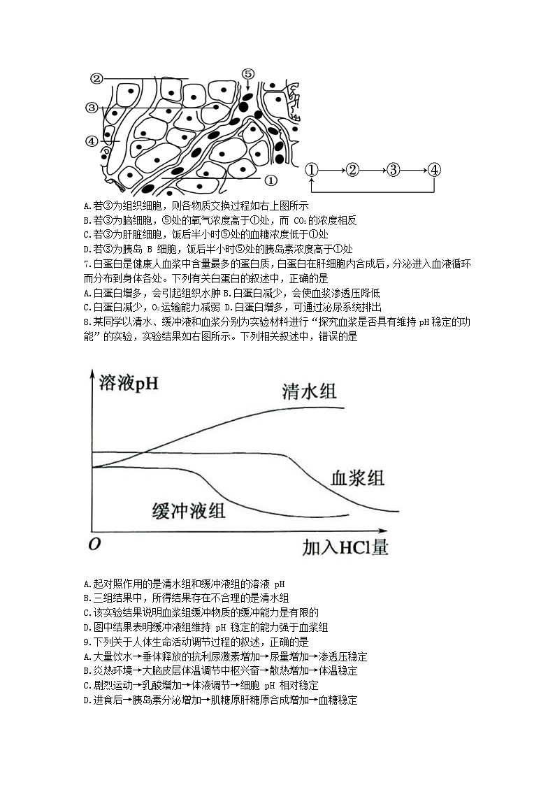 四川省内江市第六中学2022-2023学年高二上学期期中生物试卷第2页