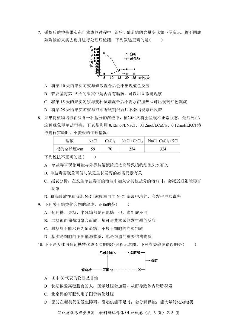 2023孝感重点高中教科研协作体高一上学期期中生物试题可编辑PDF版含答案03