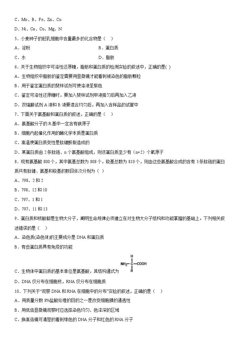 2023维吾尔自治区喀什六中高一上学期10月期中考试生物试题含答案第2页