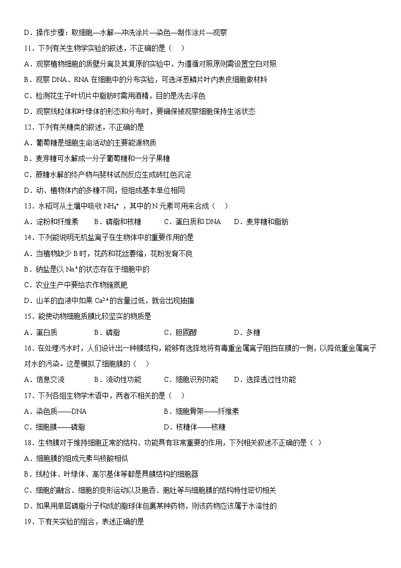 2023维吾尔自治区喀什六中高一上学期10月期中考试生物试题含答案第3页