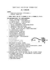 河南省洛阳市2022-2023学年高二生物上学期期中考试试题（Word版附答案）