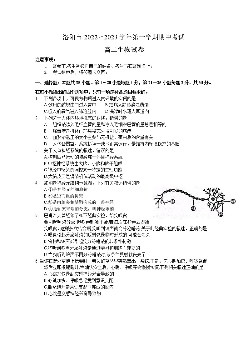河南省洛阳市2022-2023学年高二生物上学期期中考试试题（Word版附答案）01