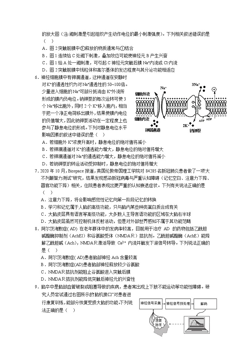 湖北省五校2022-2023学年高二生物上学期11月联考试题（Word版附答案）02