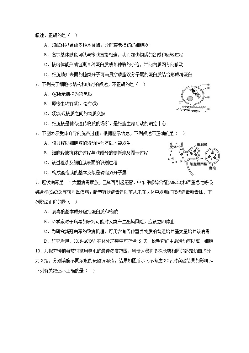江苏省南通市海安高级中学2022-2023学年高一生物上学期11月期中考试试题（Word版附答案）02