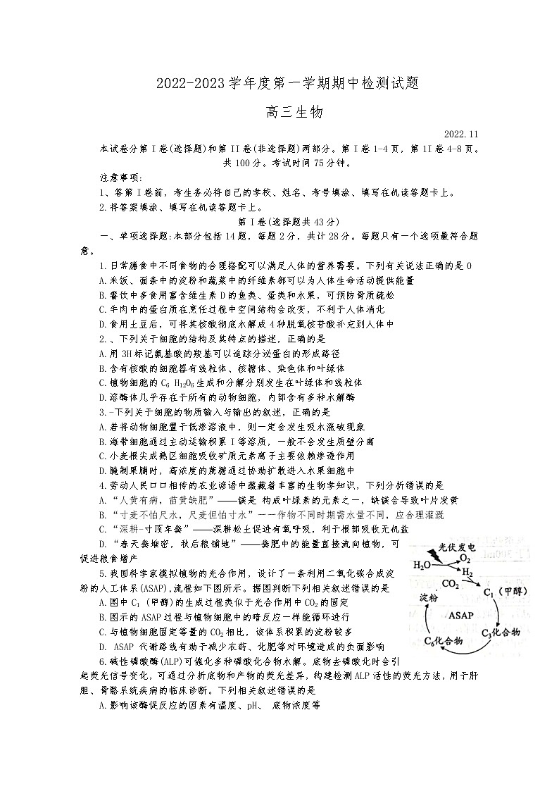 江苏省扬州中学2022-2023学年高三生物上学期期中考试试卷（Word版附答案）01