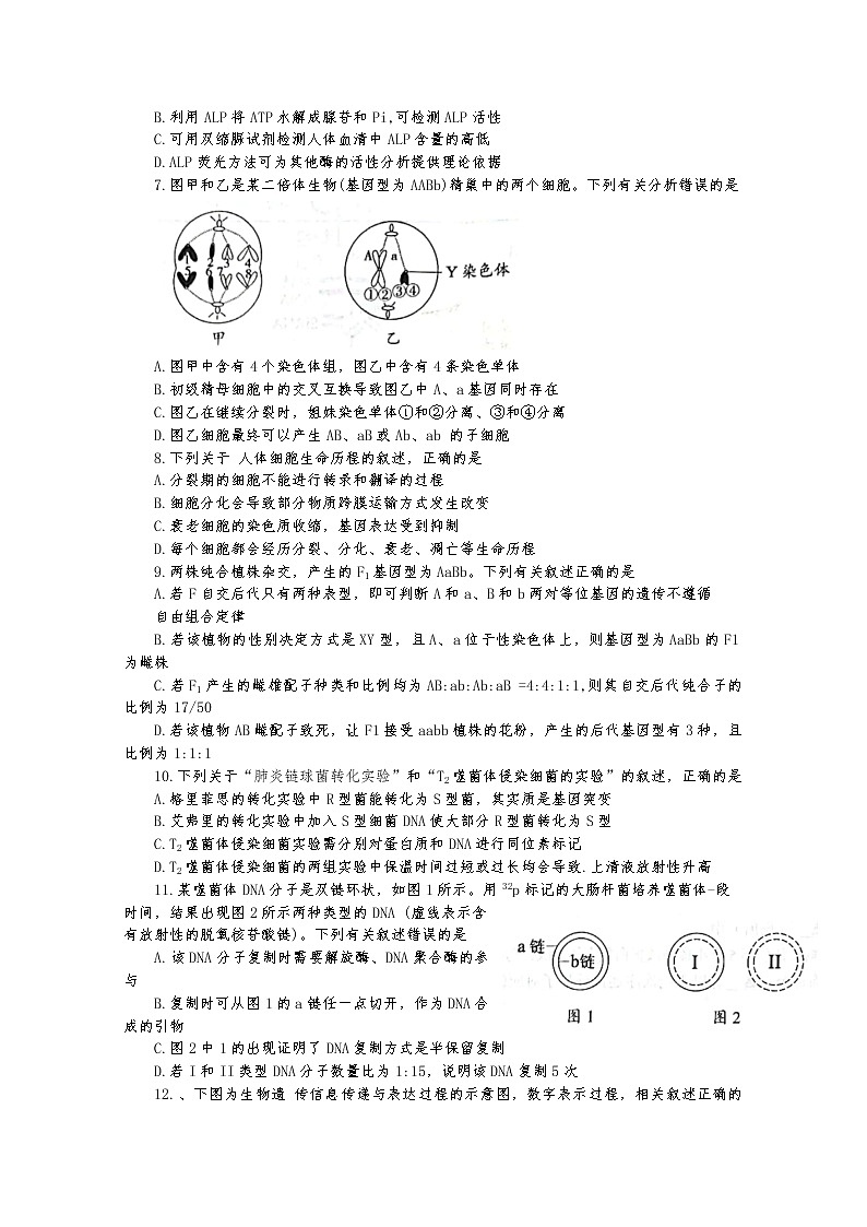 江苏省扬州中学2022-2023学年高三生物上学期期中考试试卷（Word版附答案）02
