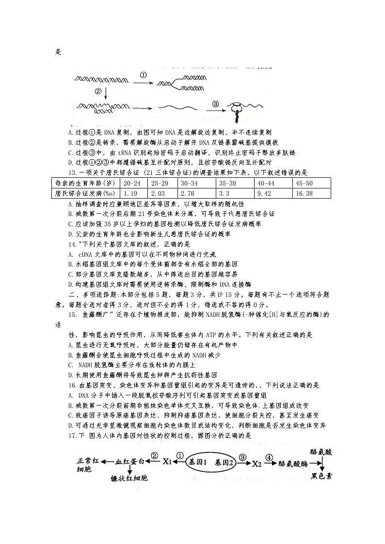 江苏省扬州中学2022-2023学年高三生物上学期期中考试试卷（Word版附答案）03