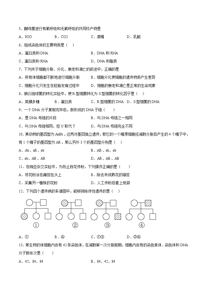 2022年12月北京市普通高中学业水平合格性考试生物仿真模拟试卷B（考试版）第2页