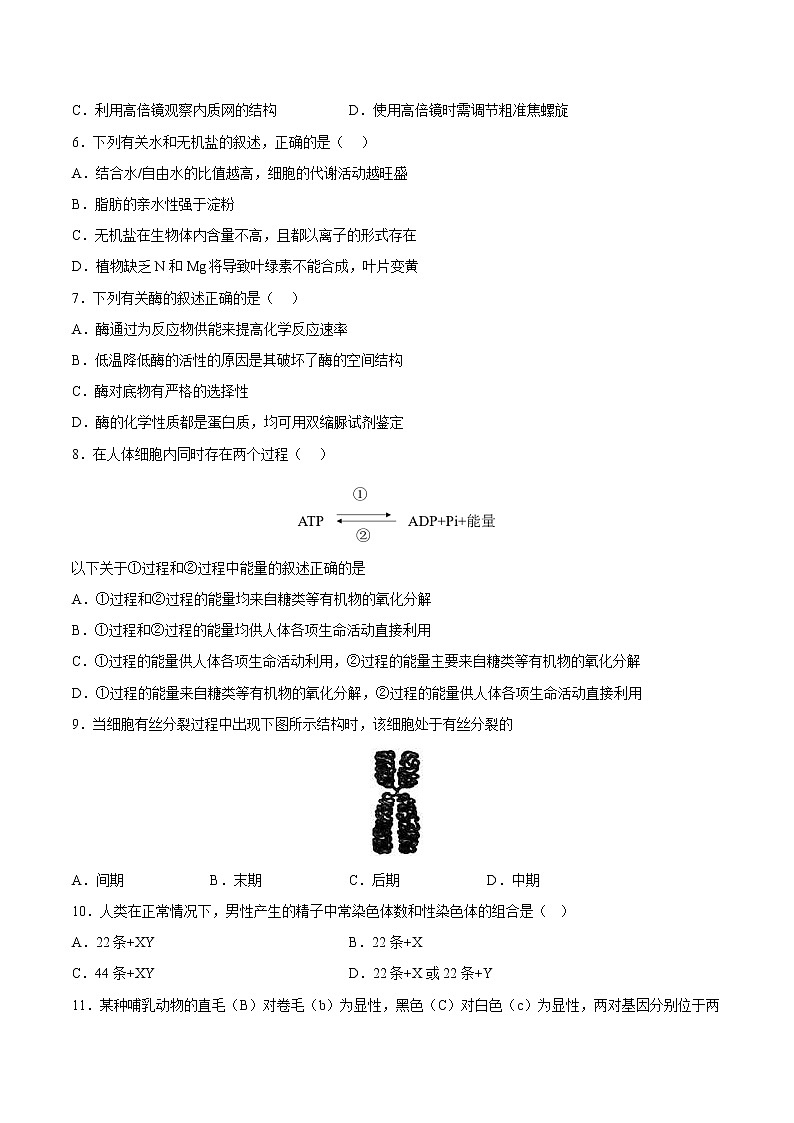 2022年12月北京市普通高中学业水平合格性考试生物仿真模拟试卷C02