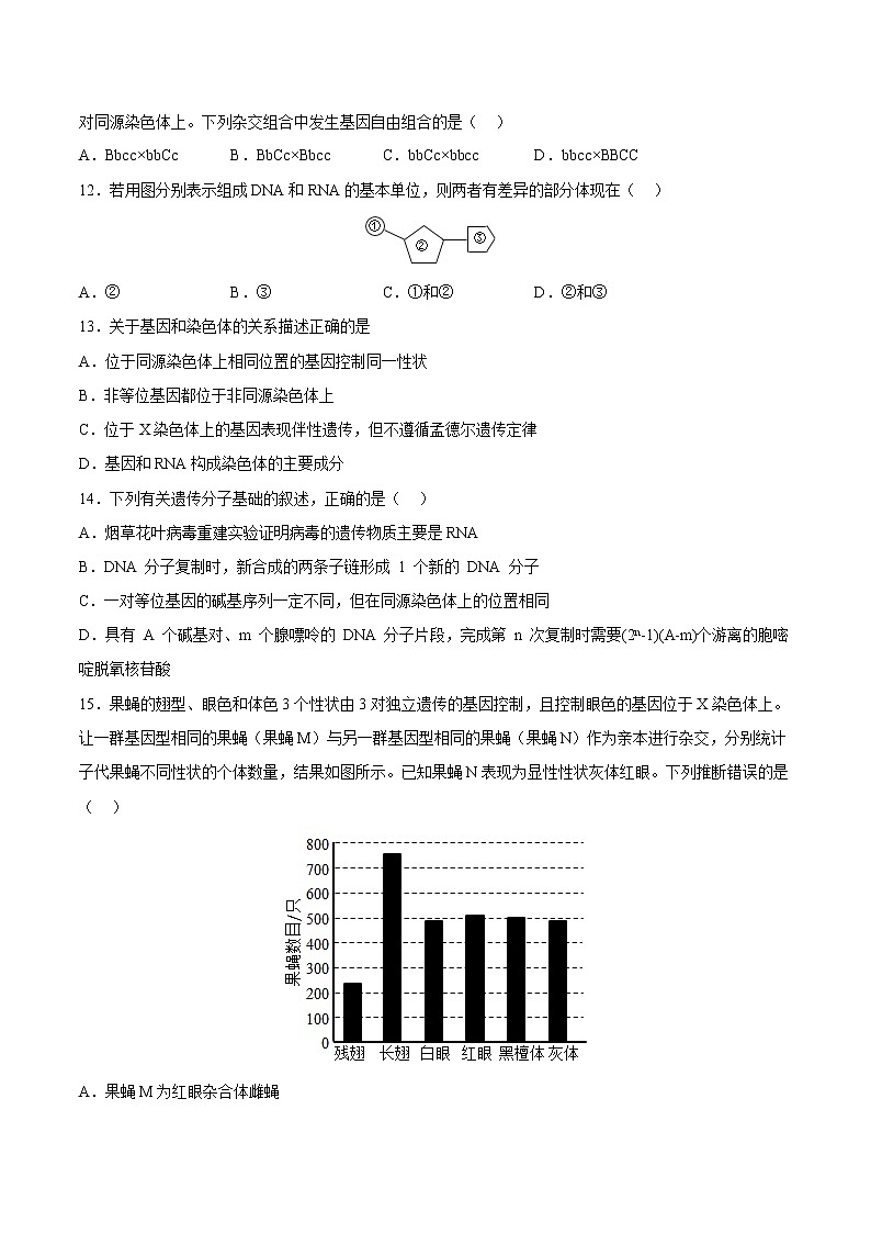 2022年12月北京市普通高中学业水平合格性考试生物仿真模拟试卷C03