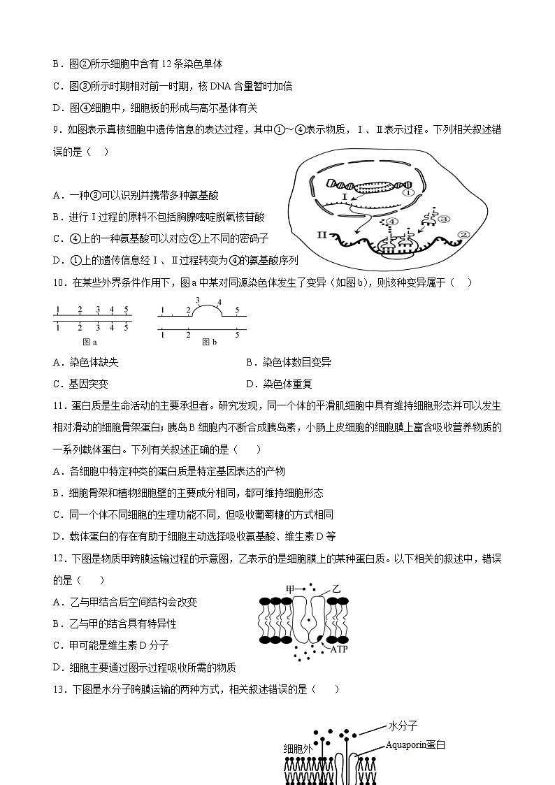 2023年1月广东省普通高中学业水平生物合格性考试C（考试版）第2页