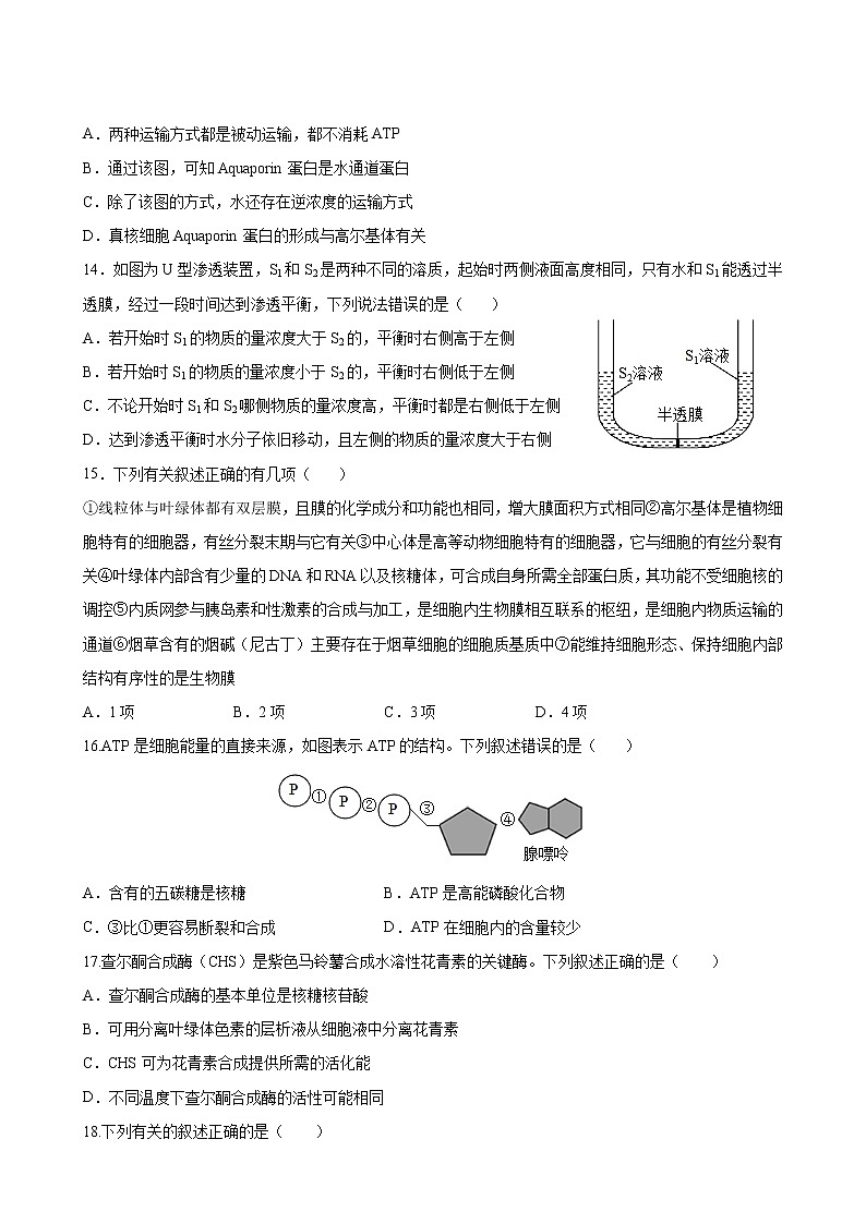 2023年1月广东省普通高中学业水平生物合格性考试C（考试版）第3页