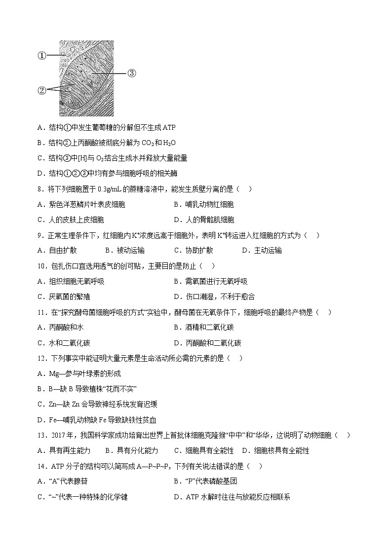2023年1月江苏省普通高中学业水平合格性考试C（考试版）第2页