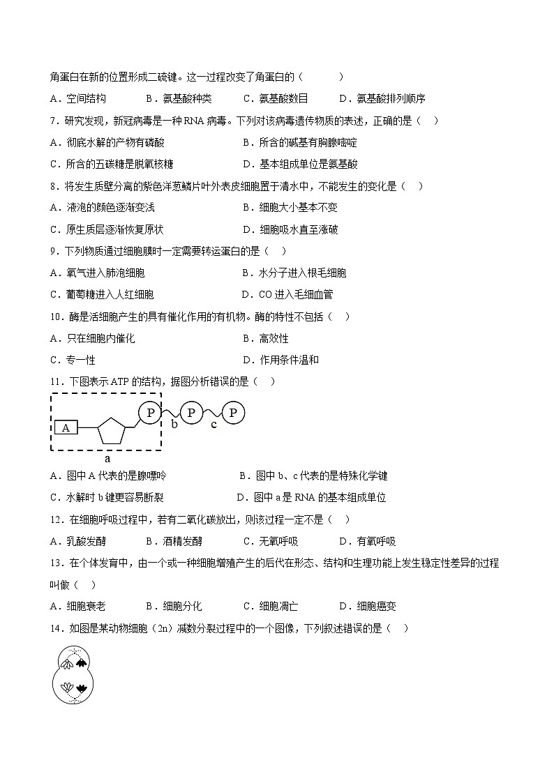 2023年1月福建省普通高中学业水平合格性考试生物仿真模拟试卷03（考试版）第2页