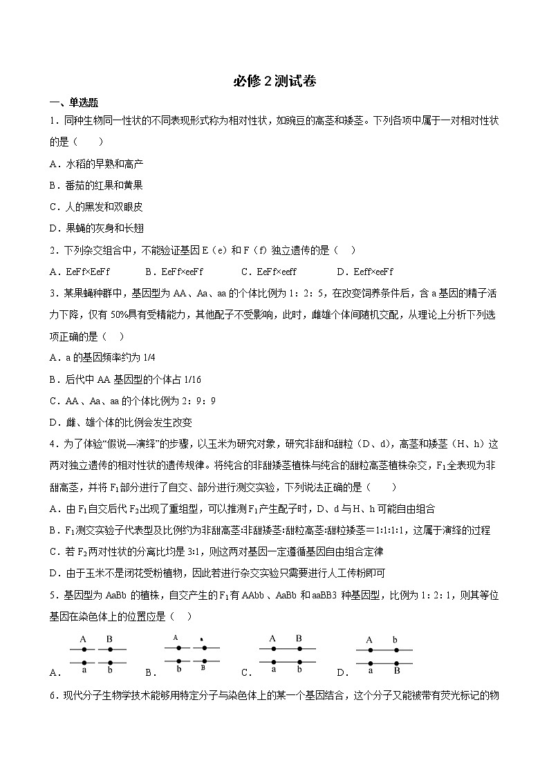 必修2测试卷（原卷版）第1页