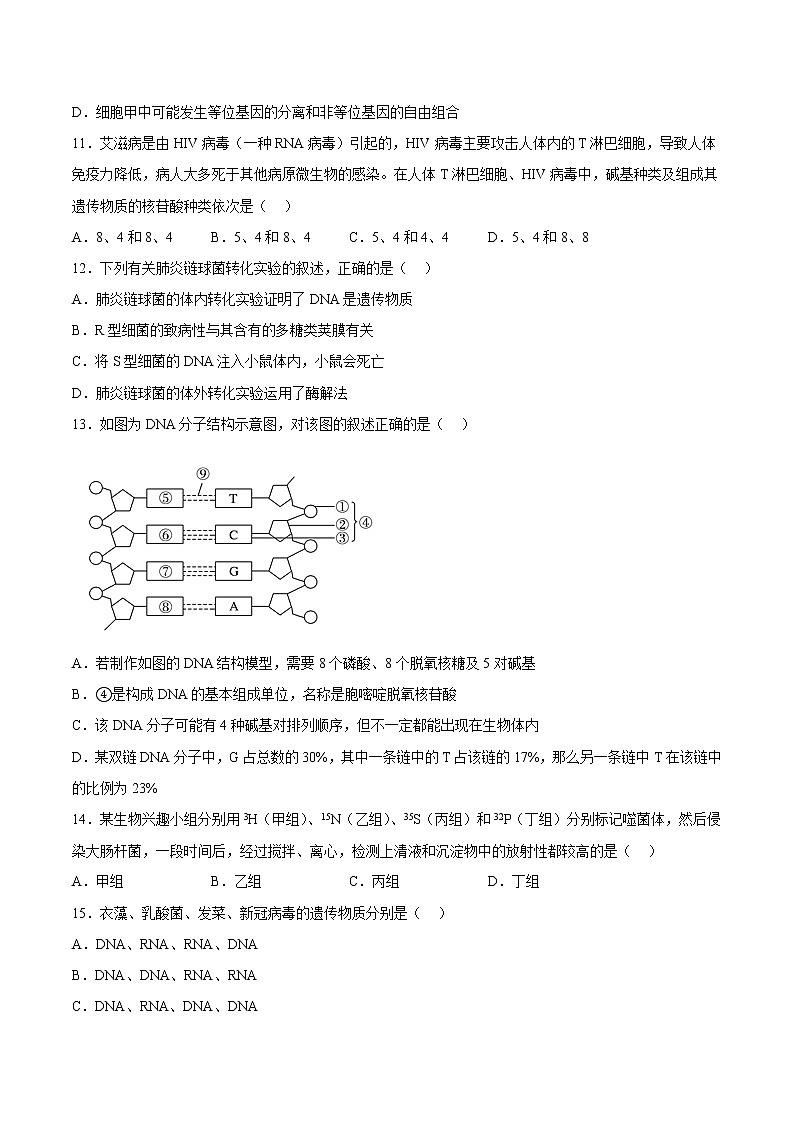 必修2测试卷（原卷版）第3页