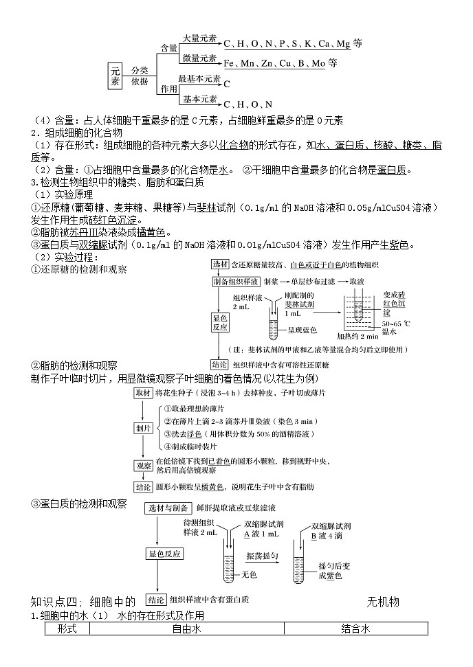 必修一超全知识点总结-2023年高中生物学业水平考试必备考点归纳与测试第2页