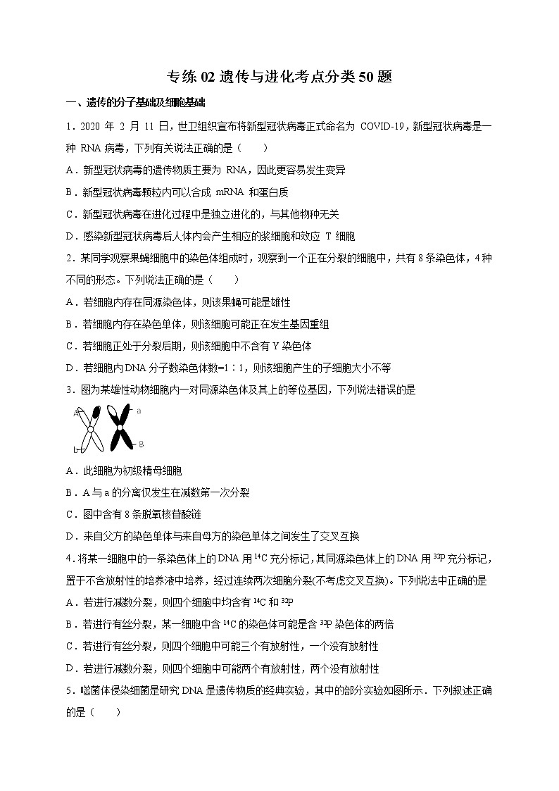 高中生物专练02 遗传与进化考点分类50题-2020年高考生物总复习考点必杀800题（无答案）01