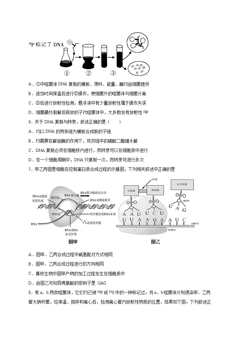 高中生物专练02 遗传与进化考点分类50题-2020年高考生物总复习考点必杀800题（无答案）02