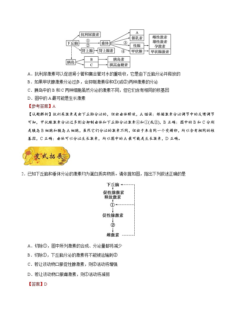 高中生物考点52 有关“下丘脑”的综合问题-备战2022年高考生物考点一遍过02