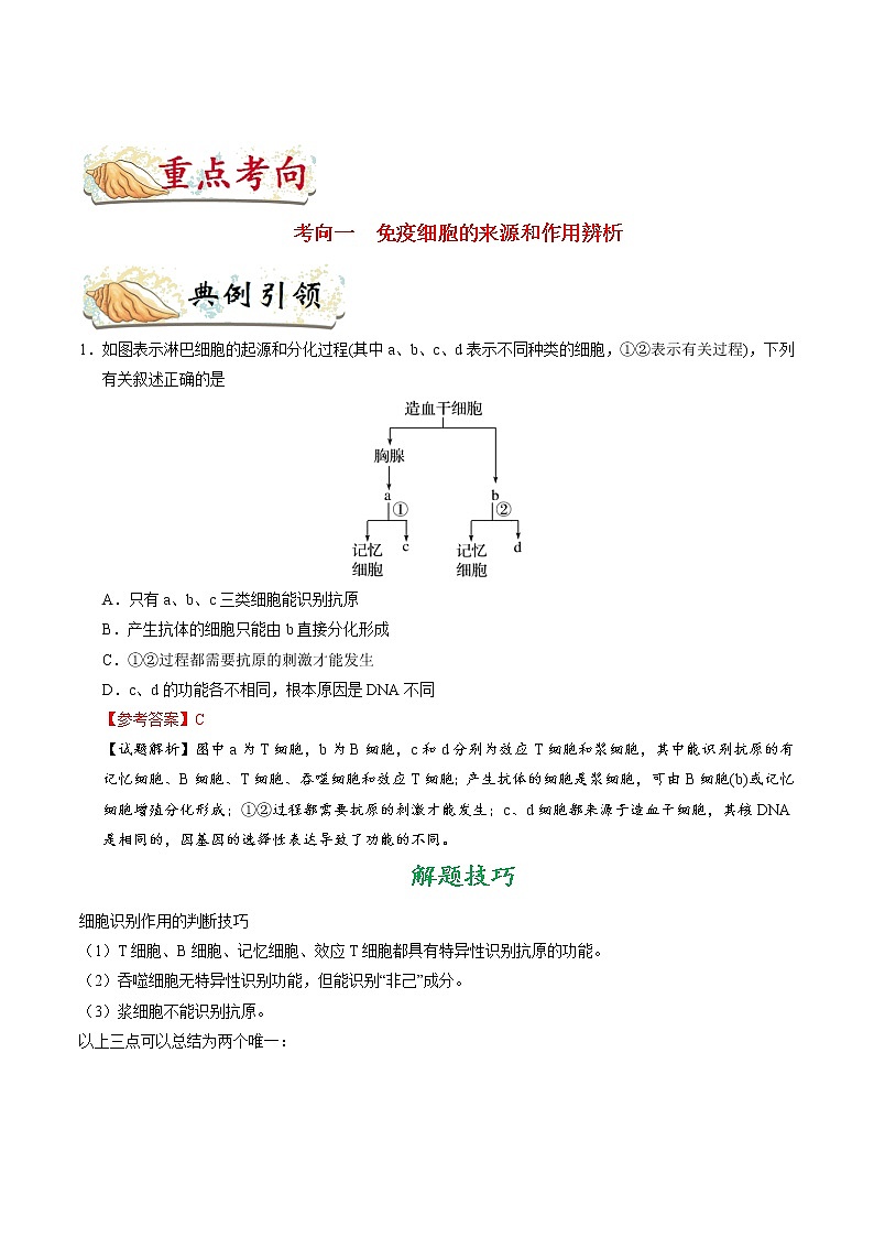 高中生物考点54 免疫调节-备战2022年高考生物考点一遍过第3页