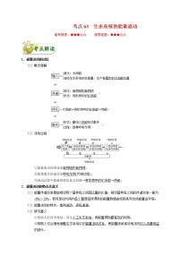 高中生物考点63 生态系统的能量流动-备战2022年高考生物考点一遍过