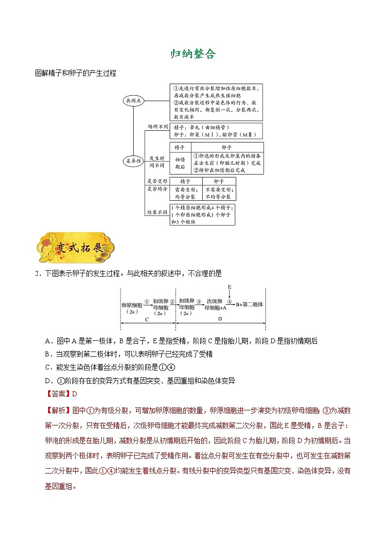 高中生物考点85 胚胎工程（一）-备战2022年高考生物考点一遍过 试卷03