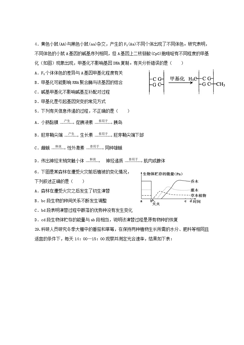 高中生物辽宁省沈阳市东北育才学校2019届高三生物第八次模拟试题02
