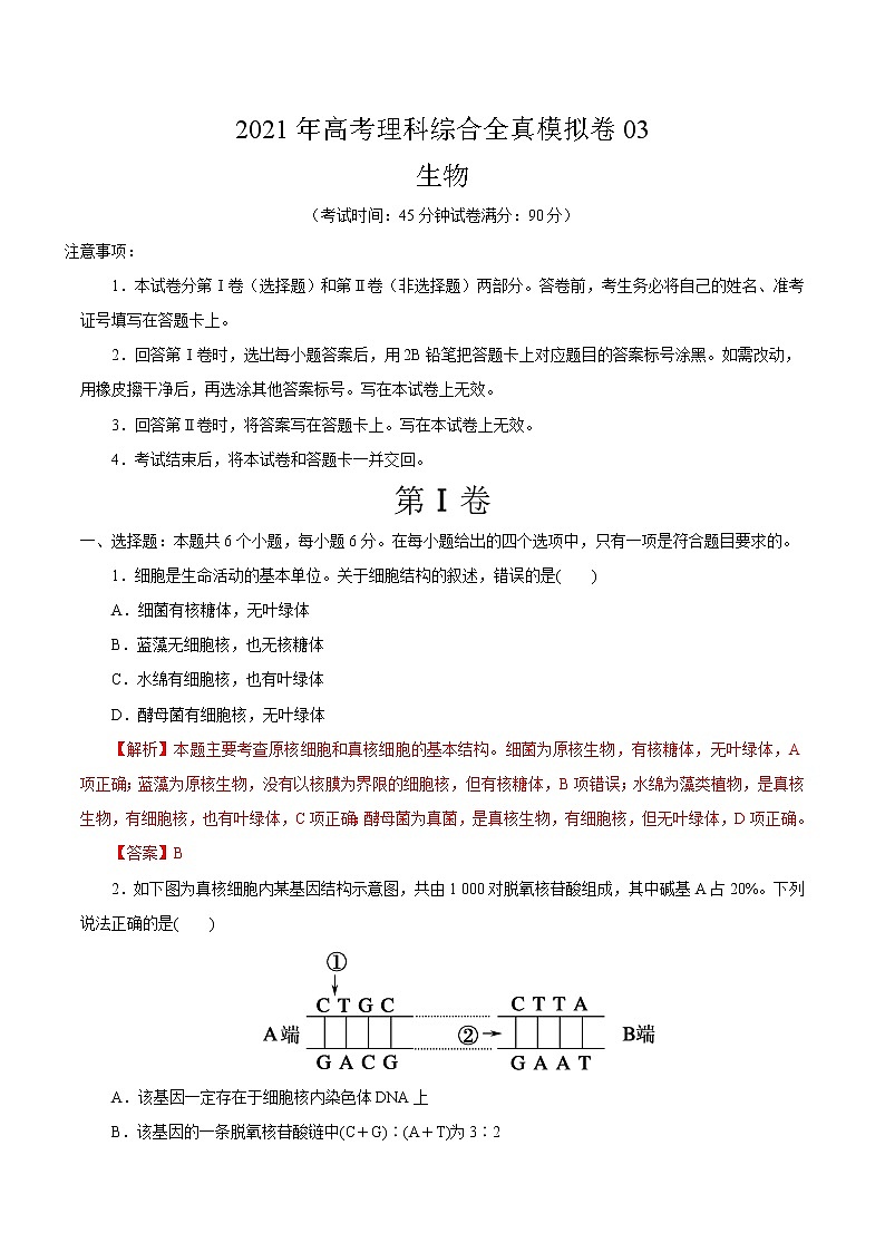高中生物模拟卷03-【战高考】2021年高考理科综合生物全真模拟卷（有答案）第1页