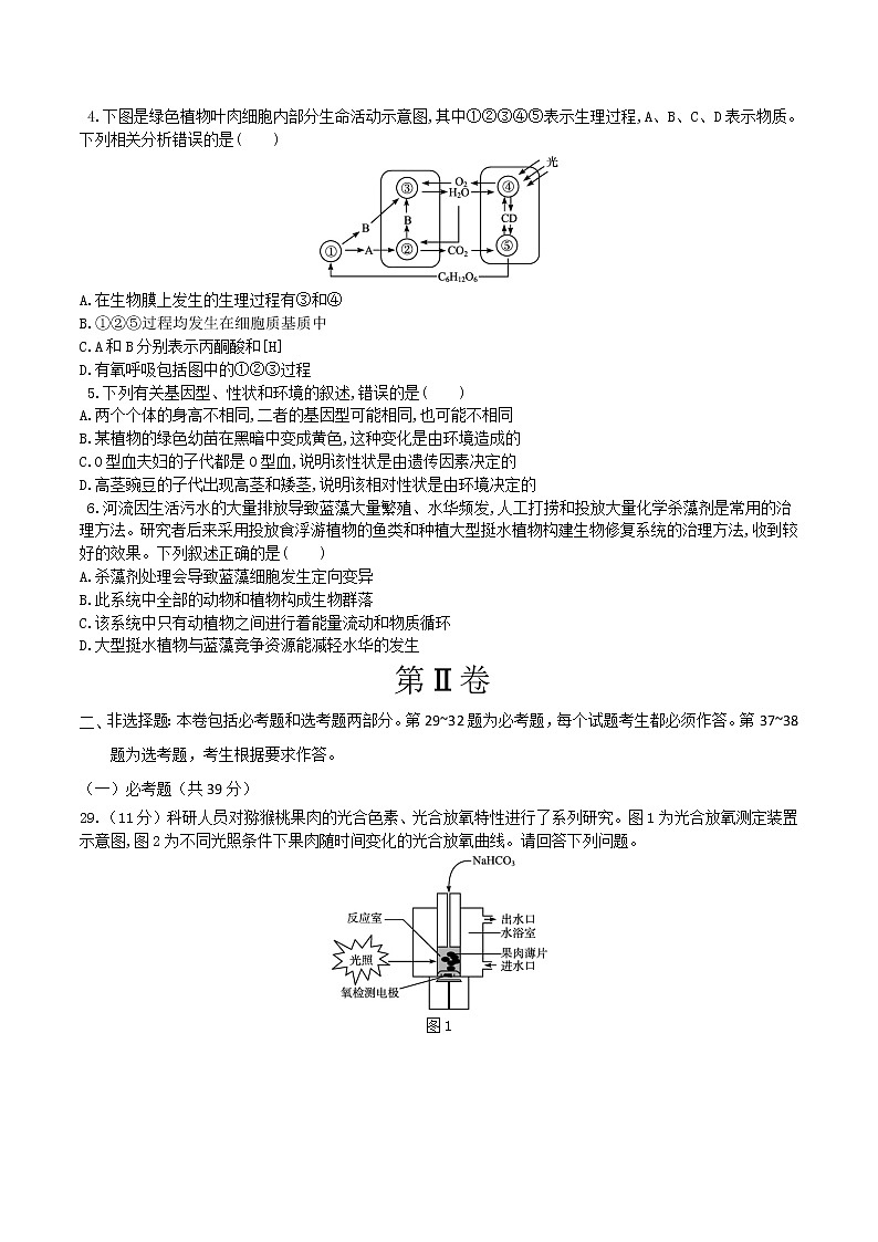 高中生物模拟卷08-【战高考】2021年高考理科综合生物全真模拟卷（无答案）第2页